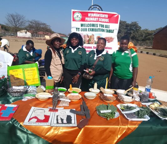 Chimhanda District Show Highlights Role of Traditional Grains in Food Security