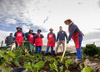 Shoprite marks milestone of 300th community food garden with Bredasdorp project