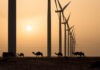 Megaprojects Overwhelm the Moroccan Renewable Energy Landscape. Among the Spectacle, are Rural Communities Lost?
