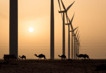 Megaprojects Overwhelm the Moroccan Renewable Energy Landscape. Among the Spectacle, are Rural Communities Lost?
