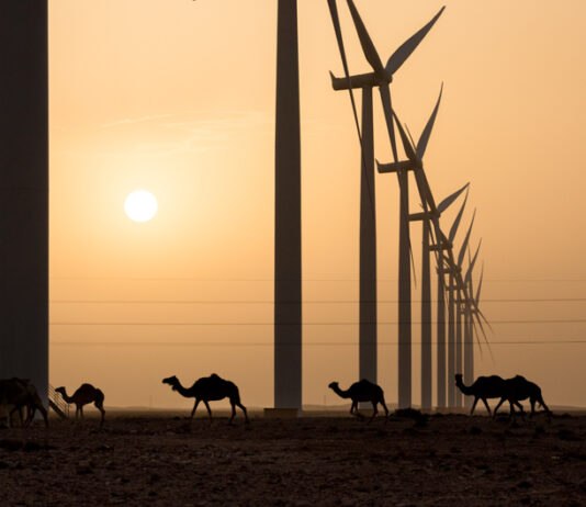 Megaprojects Overwhelm the Moroccan Renewable Energy Landscape. Among the Spectacle, are Rural Communities Lost?