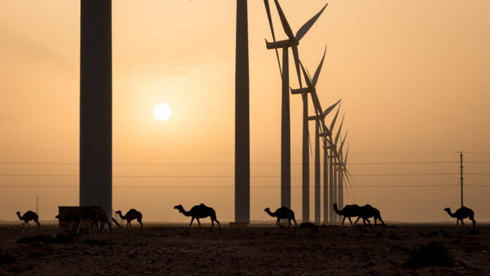 africas-biggest-windfarm-sparks-controversy-in-the-desert