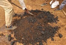 Ethiopian smallholder farmers earn first carbon payments from soil carbon certification scheme