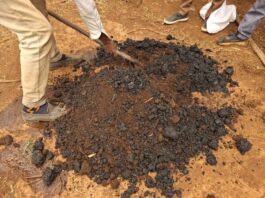 Ethiopian smallholder farmers earn first carbon payments from soil carbon certification scheme