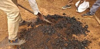 Ethiopian smallholder farmers earn first carbon payments from soil carbon certification scheme