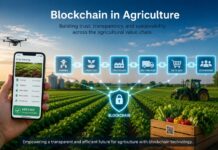 Blockchain in Agriculture Market To Reach USD 11.4 billion by 2034.