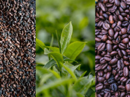 Global coffee, cocoa and tea price volatility puts farmer livelihoods at risk – FAO report