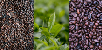 Global coffee, cocoa and tea price volatility puts farmer livelihoods at risk – FAO report
