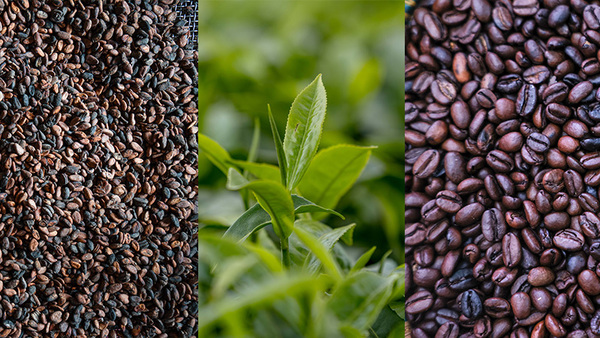 coffee, cocoa and tea