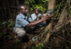 New open-access platform gives conservationists better ways to measure and improve results