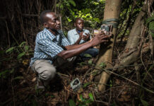 New open-access platform gives conservationists better ways to measure and improve results