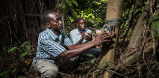 New open-access platform gives conservationists better ways to measure and improve results