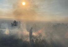 Strengthen your shield: the soakdown plan to fight wildfires