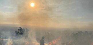 Strengthen your shield: the soakdown plan to fight wildfires
