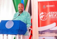 Antimicrobial resistance could lock Kenya out of global meat markets – Kagwe warns