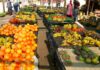 Time for a Rethink: Health Leaders Say SA’s Food Guidelines Must Tackle Disease + Climate