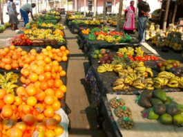 Time for a Rethink: Health Leaders Say SA’s Food Guidelines Must Tackle Disease + Climate