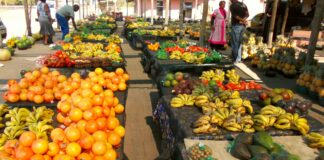 Time for a Rethink: Health Leaders Say SA’s Food Guidelines Must Tackle Disease + Climate