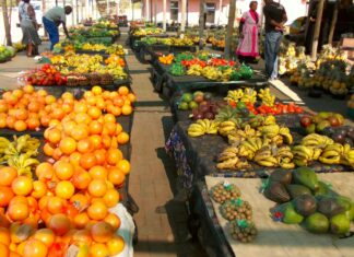 Time for a Rethink: Health Leaders Say SA’s Food Guidelines Must Tackle Disease + Climate
