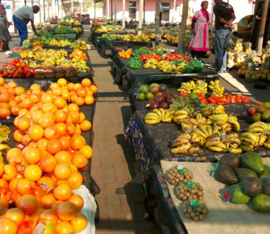 Time for a Rethink: Health Leaders Say SA’s Food Guidelines Must Tackle Disease + Climate