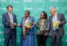 AGRA at 20: Africa’s Food Systems Must Be Measured by What Farmers Earn
