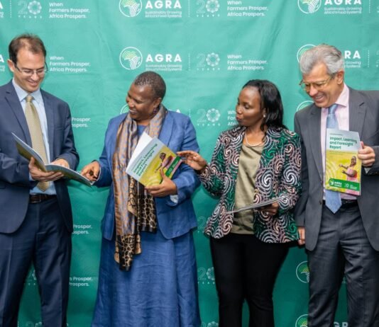 AGRA at 20: Africa’s Food Systems Must Be Measured by What Farmers Earn