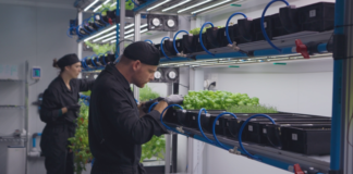 Container-Grown, Retail-Ready: How Arable Grow Cracked Urban Farming
