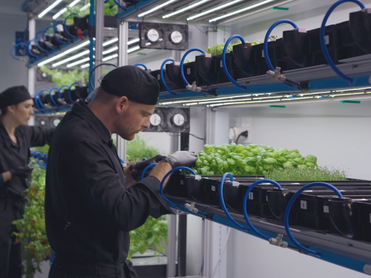Container-Grown, Retail-Ready: How Arable Grow Cracked Urban Farming