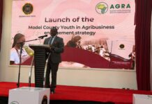 Counties Move to Put Youth at the Centre of the Agrifood Economy