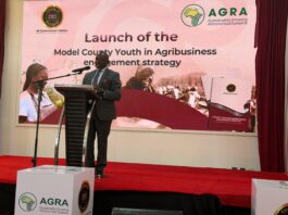 Counties Move to Put Youth at the Centre of the Agrifood Economy