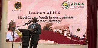 Counties Move to Put Youth at the Centre of the Agrifood Economy