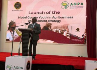 Counties Move to Put Youth at the Centre of the Agrifood Economy