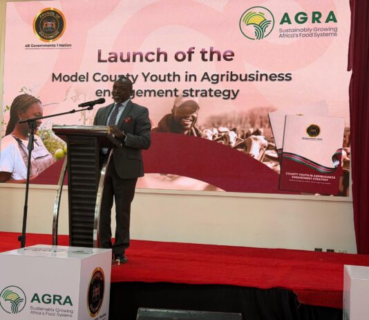 Counties Move to Put Youth at the Centre of the Agrifood Economy