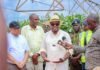 Kenya to import 25 million bags of maize to avert projected shortage