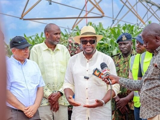 Kenya to import 25 million bags of maize to avert projected shortage