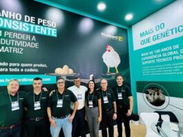 Hubbard do Brasil Brings Efficiency Plus and Poultry Collaboration to SIAVS 2026