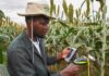 New ICRISAT platform makes agricultural data from Africa and Asia easier to access