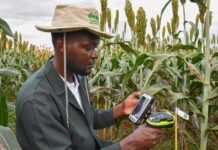 New ICRISAT platform makes agricultural data from Africa and Asia easier to access