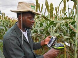 New ICRISAT platform makes agricultural data from Africa and Asia easier to access