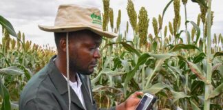 New ICRISAT platform makes agricultural data from Africa and Asia easier to access
