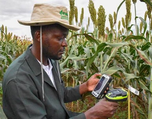 Digital-agriculture-overview_600x400