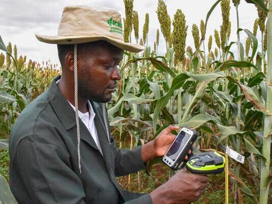 New ICRISAT platform makes agricultural data from Africa and Asia easier to access