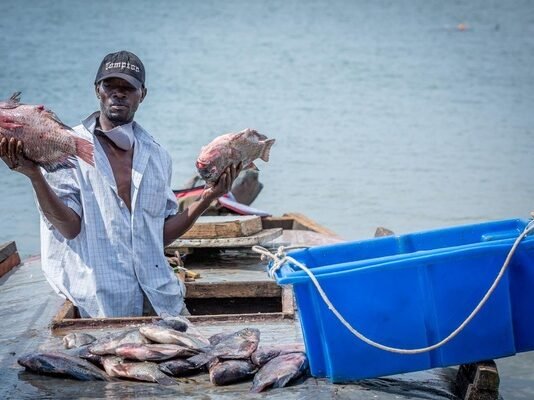 Uganda launches new fisheries, aquaculture regulations to rebuild fish stocks