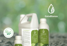 ClearLeaf launches non-toxic product to fight dangerous diseases in field strawberries