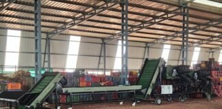 80% Less Manual Labor: Agrograde’s Automated Onion Grading System Transforms Pimpalgaon Market