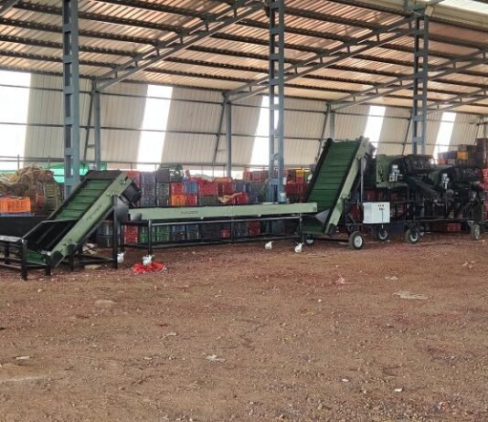 80% Less Manual Labor: Agrograde’s Automated Onion Grading System Transforms Pimpalgaon Market