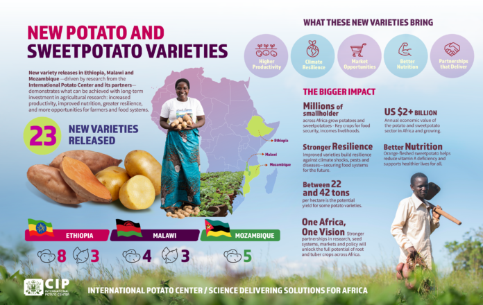INFOGRAFIA HZ POTATO SP MALAWI AND ETHIOPIA