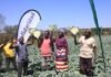 Future-Proofing Africa’s Food: How Solidaridad is Leading the Charge at AFS Forum 2026