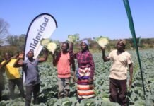 Future-Proofing Africa’s Food: How Solidaridad is Leading the Charge at AFS Forum 2026