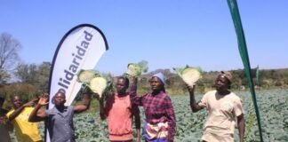 Future-Proofing Africa’s Food: How Solidaridad is Leading the Charge at AFS Forum 2026